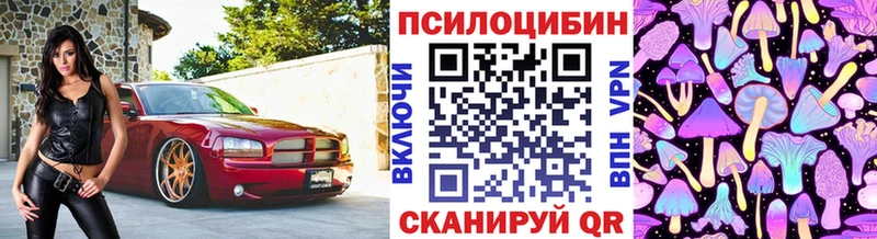 Псилоцибиновые грибы Psilocybine cubensis  Новокубанск 